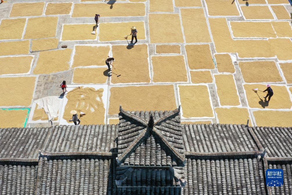 百富策略网